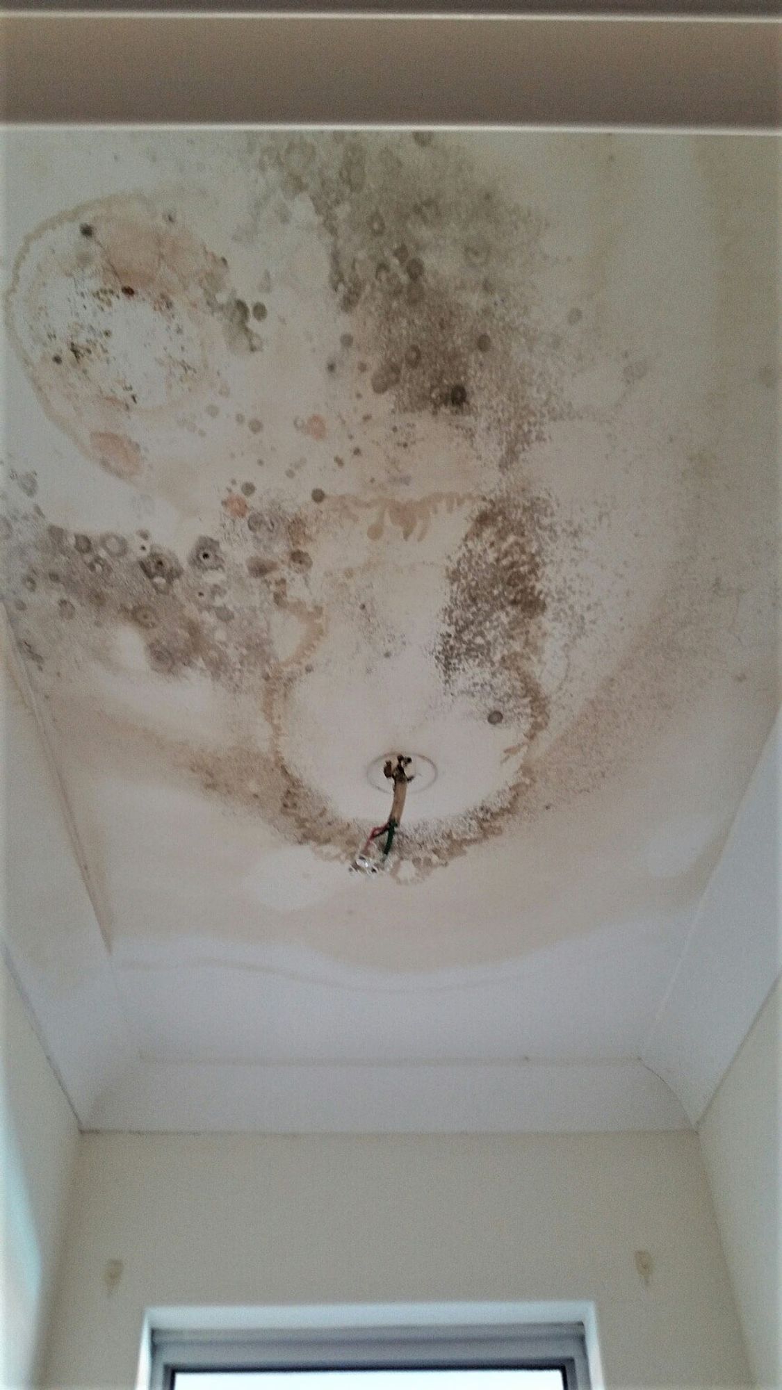 jobs/ceiling repairs/20