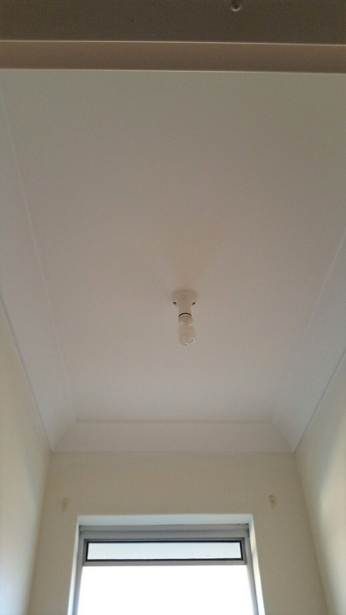 jobs/ceiling repairs/21