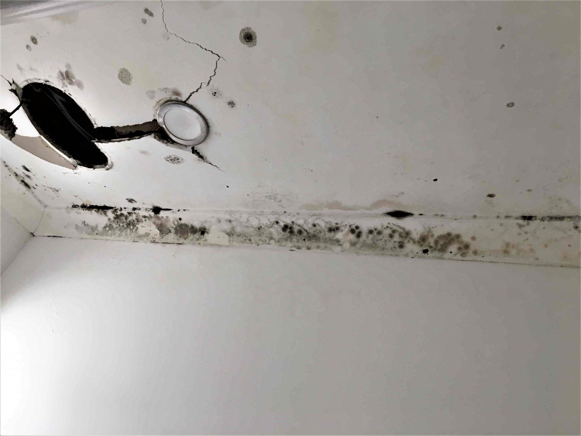 jobs/ceiling repairs/25