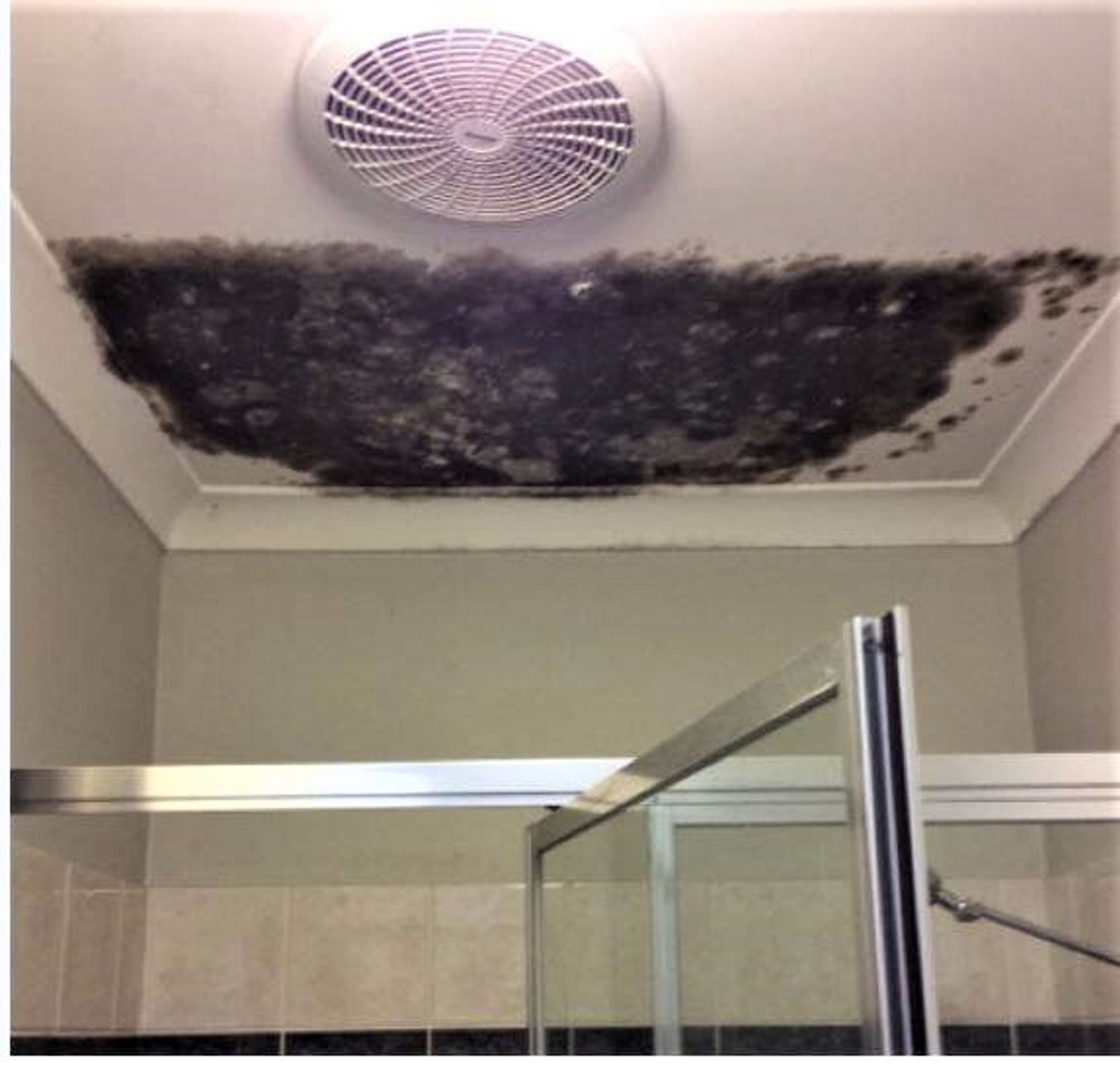 jobs/ceiling repairs/31