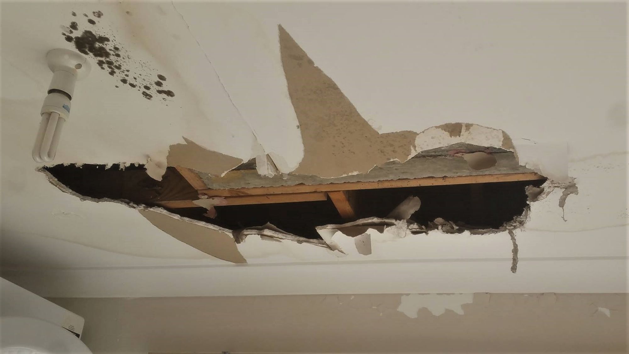jobs/ceiling repairs/41