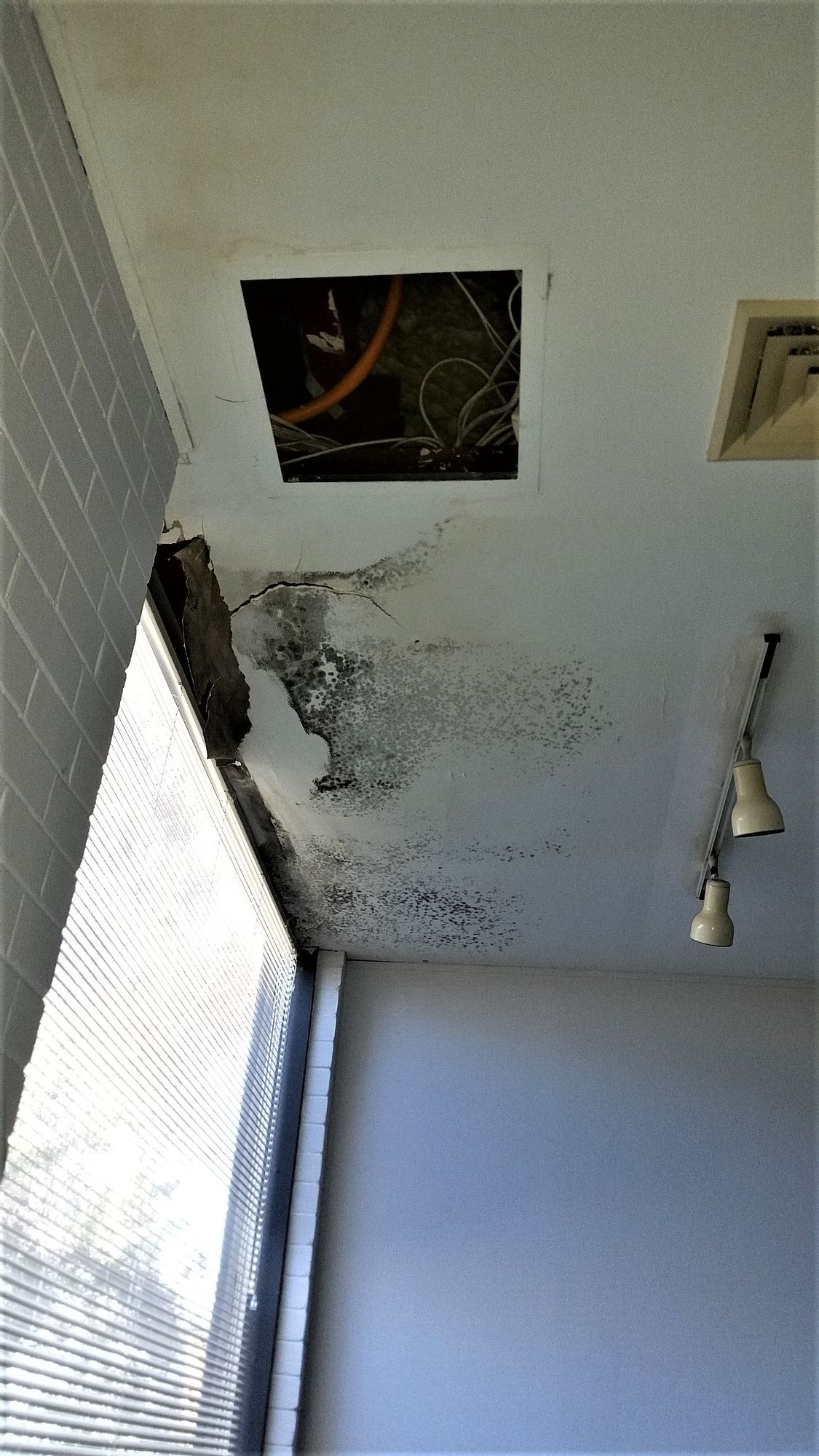 jobs/ceiling repairs/5