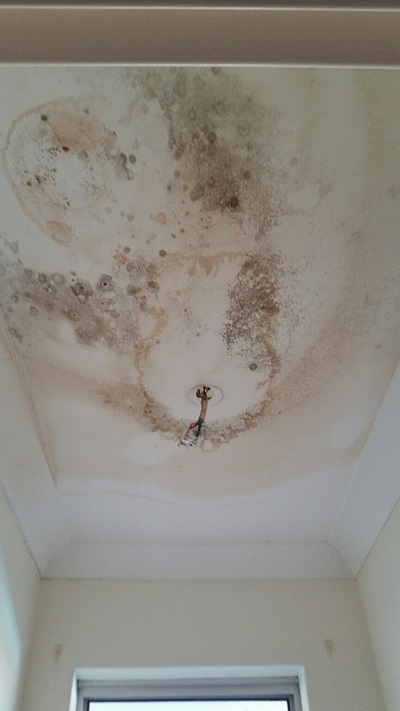 jobs/emergencytoilet/Toilet before 1